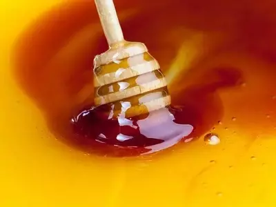 La Durabilidad Excepcional de la Miel: Un Milagro de la Naturaleza y las Abejas