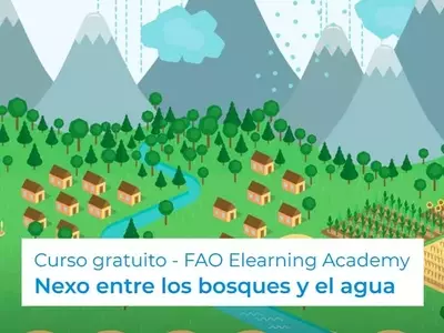 Curso Gratuito: Conexión Fundamental entre Bosques y Agua