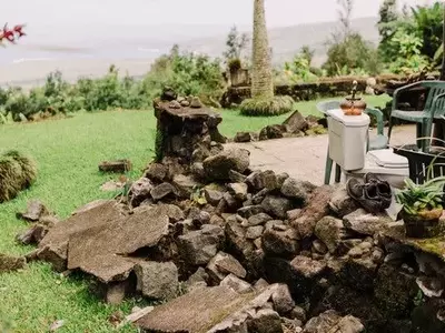 Earthquake Devastates Water Supply for Kona Coffee Farmers
