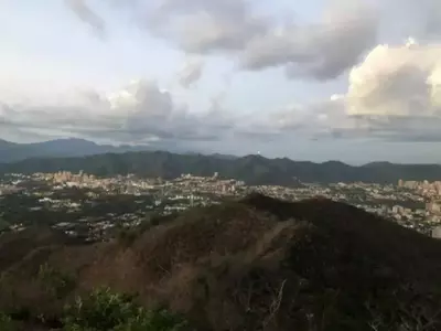 Gran jornada de reforestación para devolver el verde al cerro El Casupo
