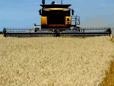La Baja del Precio de la Urea Impulsa la Campaña Triguera en Argentina