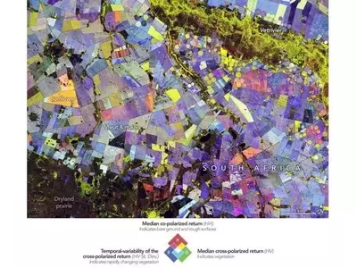 El Radar Satelital NISAR Revela Secretos Agrícolas en el Triángulo del Maíz Sudafricano