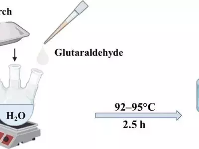 Hidrogeles biodegradables para impulsar la agricultura sostenible