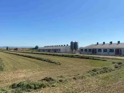 La ciencia desvela el impacto de los purines en el suelo agrícola