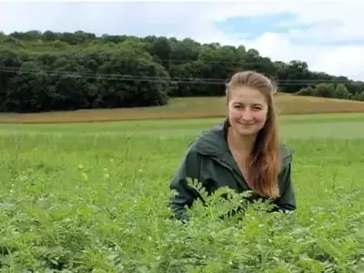 Transformación Agrícola: El Legado de Marie von Schnehen y el Garbanzo Ecológico