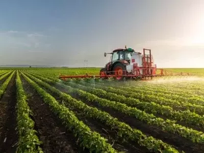 Fitosanitarios en Argentina: La Encrucijada entre Producción y Percepción Social
