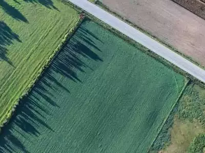 La IA en la Agricultura: ¿Progreso para Todos o Brecha Creciente?