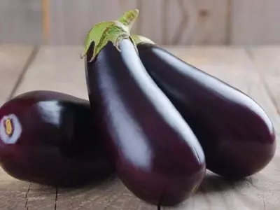 Dominando la Berenjena: Secretos Culinarios para Platos Perfectos