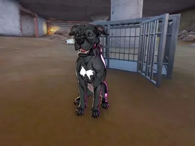 John Wick's Dog in Fortnite Chapter 7 Season 3: Locations and Rescue Guide