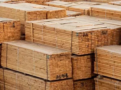 Actualizaciones del Reglamento EUDR: Guía Clave para el Sector Maderero