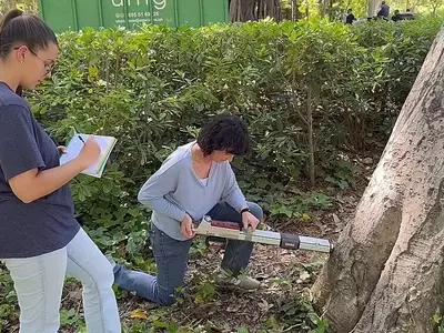 Innovación Tecnológica para la Salud de Árboles Emblemáticos en Sevilla