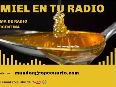 Explorando el Universo Ap￭cola: Un Vistazo al Programa Radial "La Miel en tu Radio"