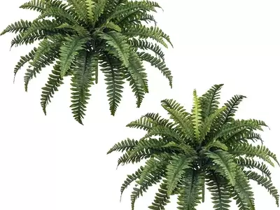 Top Picks: The Most Realistic Artificial Plants on Amazon