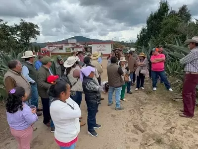 Foro Regional de Agaves Pulqueros Impulsa Protección Legal y Desarrollo Sostenible