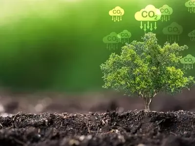Court Nullifies IRS Rule Impeding Renewable Energy Tax Credits
