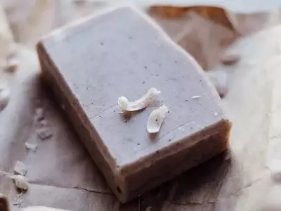 Cómo Elaborar un Poderoso Repelente Natural para Proteger tus Plantas