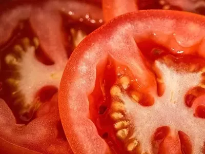 Sutamarchán: El Escenario Global del Tomate