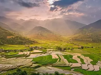 Innovación Agrícola: La Producción de Arroz Desafía el Cambio Climático