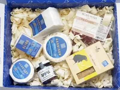 Exploring the World of Cheese: A Deep Dive into Premium Subscription Services