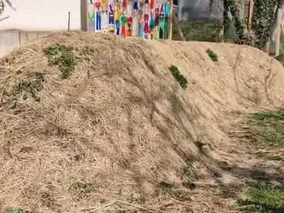 Hügelbeet: Innovación Agrícola con Camas Elevadas para un Cultivo Sostenible