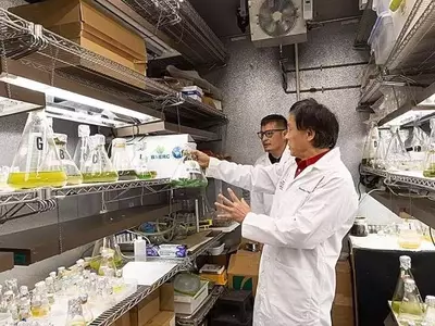 Cianobacterias: Biofertilizantes del Futuro para una Agricultura Sostenible