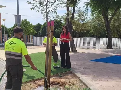 Estrategia de Riego para la Consolidación de Árboles Jóvenes en Sevilla