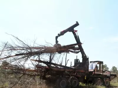 Coordinación Interinstitucional para la Recuperación Forestal Post-Incendio en Paüls