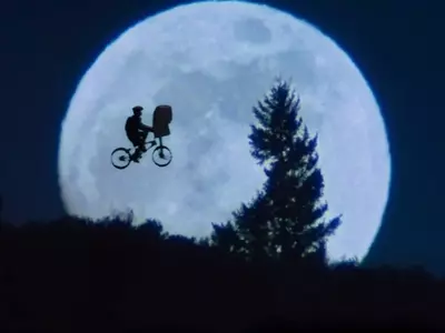 A Cinematic Journey: Exploring Steven Spielberg's Unique Filmography
