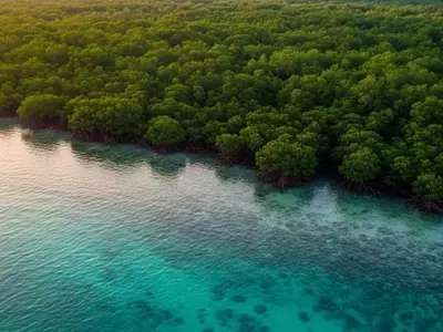 La Verdad Oculta del CO2: Árboles y su Real Capacidad de Absorción