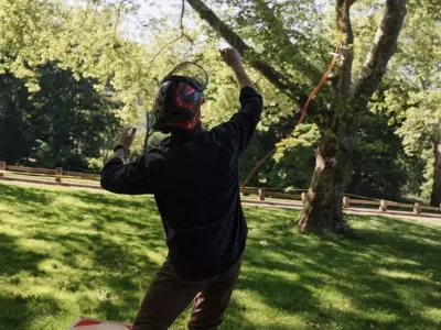 Central Park's Tree Care Team: Unexpected Social Media Stars