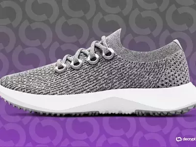 Allbirds Transforms into AI Powerhouse Smartbird, Stock Soars