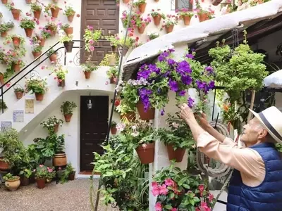 Glosario Botánico para Patios de Córdoba: Un Puente Lingüístico con Francia