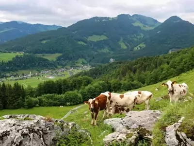 La agricultura ancestral: nutrición y resguardo natural
