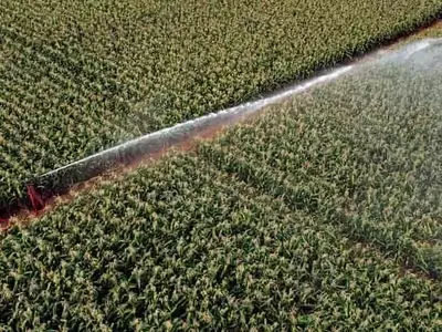 Optimización del Riego: Estrategias Alemanas para Mayor Eficiencia y Productividad Agrícola