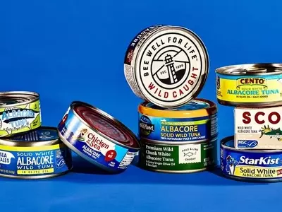 Effortless Tuna Patties: A Speedy Culinary Delight