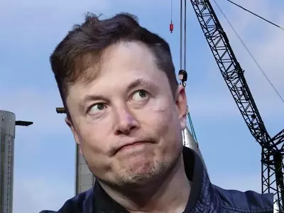 Musk Urges Patience for Tesla's Optimus and Robotaxi Innovations