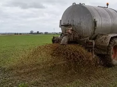 Estudio Aragonés Revela Impacto Moderado de Purines de Cerdo en Suelos Agrícolas