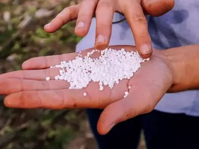 El mercado global de fertilizantes: retos y oportunidades geopolíticas