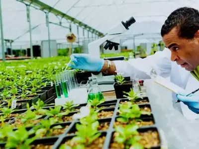 Revolución Agrícola Europea: El Impacto de las Nuevas Técnicas Genómicas