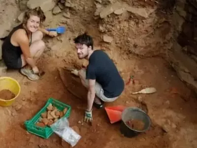 Descubrimiento de ADN en Semillas Antiguas Revela Orígenes del Vino Moderno
