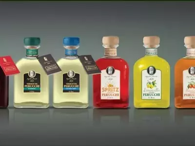 MaserGrup's Strategic Expansion Through Acquisitions and Sales Growth