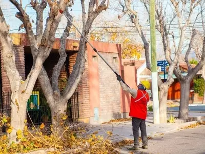 Rivadavia Emprende Ambicioso Plan de Poda Invernal para 11,000 Árboles Urbanos