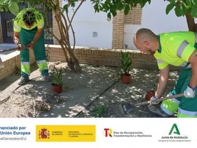 Osuna se Transforma con Corredores Verdes y Zonas de Sombra para Combatir el Calor Extremo