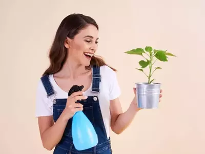 El Secreto del Agua de Arroz: Abono Natural para un Jardín Radiante