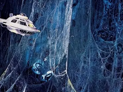 Nostalgia Reimagined: The Magic School Bus Live-Action Adaptation
