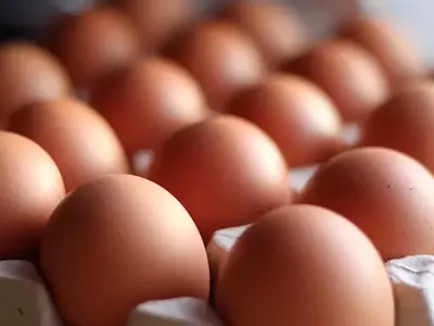 St. Ewe Free Range Eggs Welcomes New Chairman and Non-Executive Directors