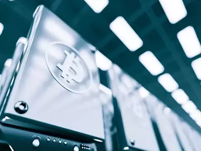 HIVE Digital Technologies Board Member Sells Significant Stock Holdings