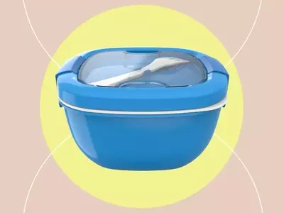 Bentgo Salad Container: The Ultimate Solution for On-the-Go Meals