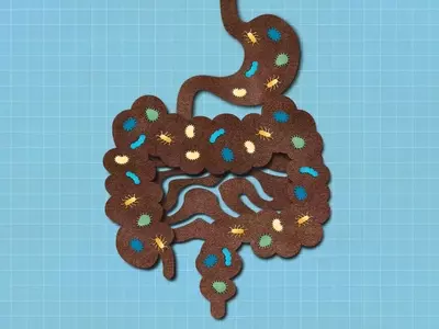 Nuts: The Ultimate Gut-Healthy Snack