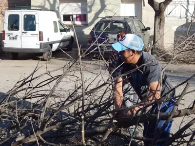 Gestión estratégica y seguridad en la poda urbana